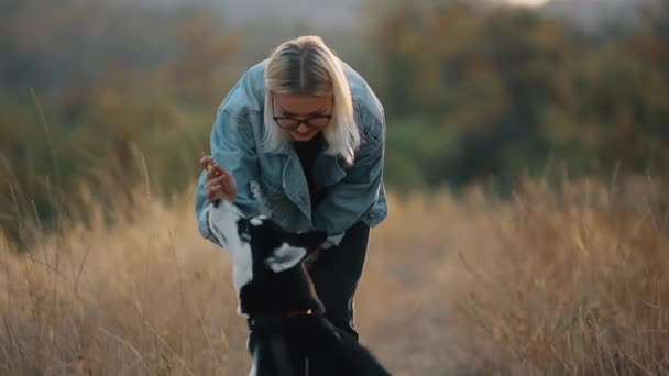 女は自然に犬と遊ぶ。ペットと一緒に夏の時間を楽しむケア. — ストック動画