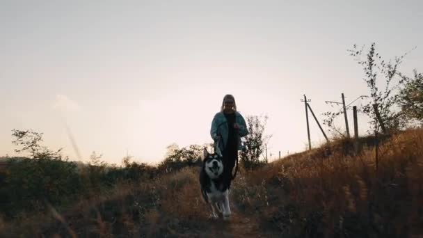 Gün batımında köpekle koşan bir kadın. Dertsiz tasasız evcil hayvanla geçirilen yaz zamanı. — Stok video