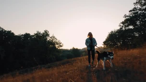 Kvinna som springer med hund på naturen vid solnedgången. bekymmersfri njuter av en sommartid med husdjur. — Stockvideo