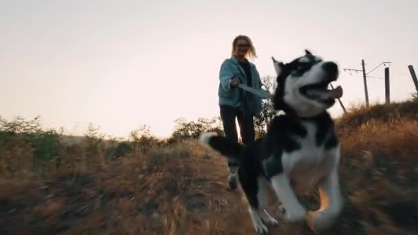 Gün batımında köpekle koşan bir kadın. Dertsiz tasasız evcil hayvanla geçirilen yaz zamanı. — Stok video