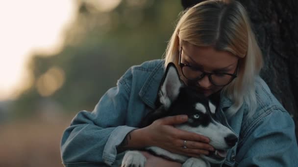 女性は自然に犬に抱きつく。ペットと一緒に夏の時間を楽しむケア. — ストック動画