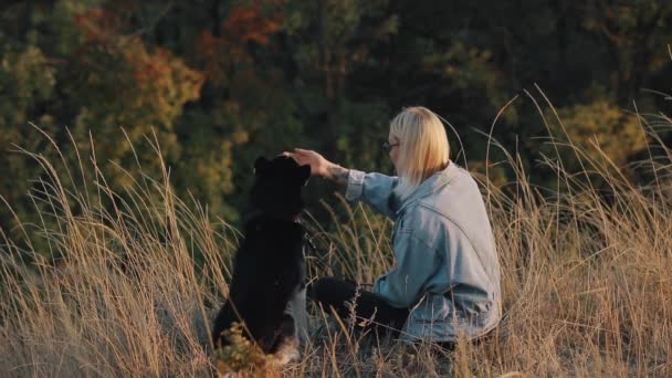 Femme jouer avec le chien sur la nature. Sans soucis profiter d'une heure d'été avec animal de compagnie . — Video