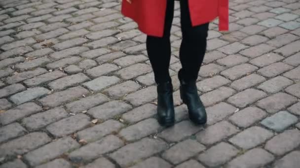 Elegante mujer elegante caminando por el callejón en el día de otoño — Vídeo de stock