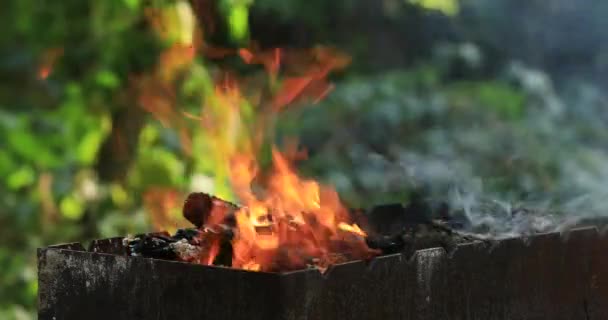 Burning fire closeup background — Stock Video