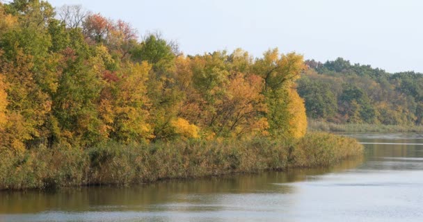 Hermoso paisaje de otoño río fondo — Vídeos de Stock