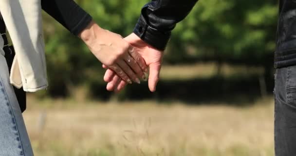 Couples méconnaissables marchant main dans la main à la nature — Video