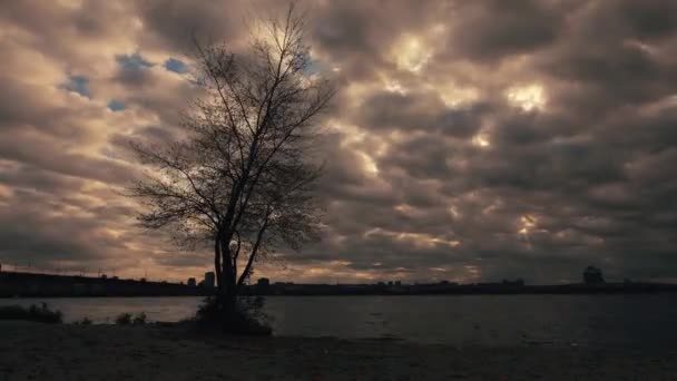 Timelapse szürreális sötét felhők egyedül fa előtérben — Stock videók