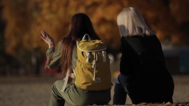 Duas mulheres amigas sentadas perto do rio e conversam juntas — Vídeo de Stock