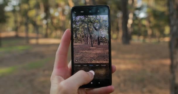 UKRAINE, DNEPR - 18 Oktober 2019: POV, foto bergerak di hutan — Stok Video