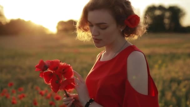 Portrait de femme aux fleurs rouges dans un champ de pavot — Video
