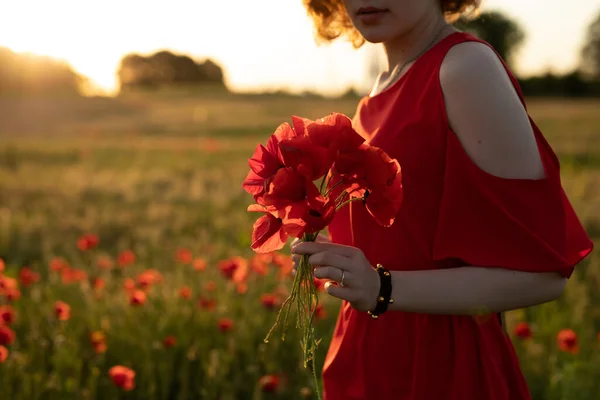 Poppy flowers in a female hands — Stock Photo, Image