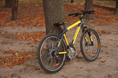 Bisiklet ağaç gövdesine yaslanıyor.