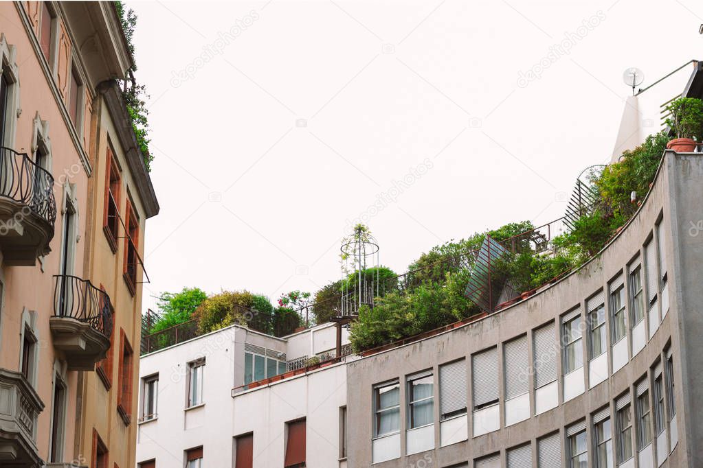 Roof terrace with greenery and solar panels. Green city, eco energy consumption