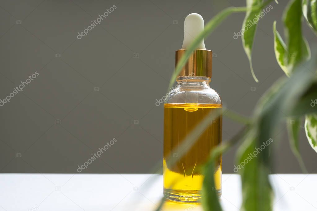Oil serum in glass bottle with pipette and leaves. Concept natural organic cosmetic
