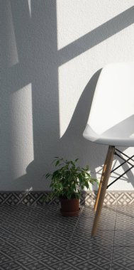 Gölgeler ve pot bitki ile beyaz duvar önünde beyaz sandalye