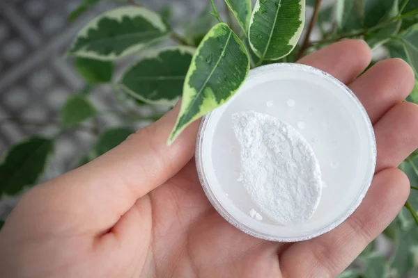 Round box of mineral powder in female palm in natural environmen