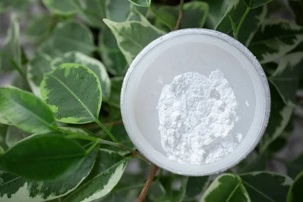 Boîte ouverte de poudre minérale sur fond de feuilles vertes — Photo