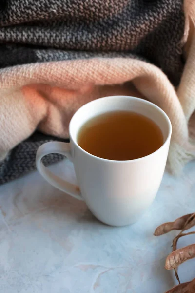 Gemütliches Heißgetränk Herbststimmung Weiße Tasse Mit Kräutertee Und Strickschal Herbstblätter — Stockfoto