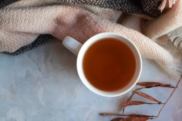 Gemütliche Heißgetränk Herbststimmung Draufsicht Tee Weißer Tasse Und Strickschal Herbstblätter — Stockfoto