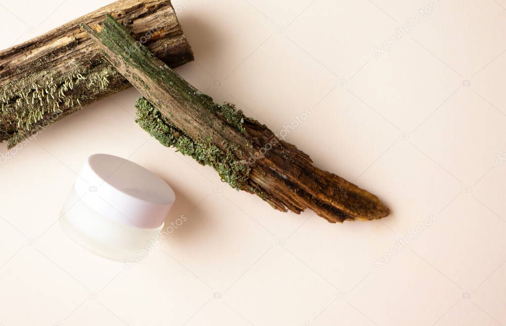 Face or eye cream skincare natural cosmetic in frosted glass jar and tree branch and green moss on beige background with copy space. Eco bio organic beauty product packing