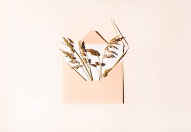 Açık zarf, kuru çayır otları ve bej arka planda çimenler. Yaratıcı düz kompozisyon, üst görünüm. Doğayla iç içe bir tebrik kartı. Yaz, sonbahar ya da alan kavramı