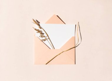 Zarfın içinde boş bir mektup ve bej arka planda kuru dekorlu otlar. Yaratıcı düz kompozisyon, üst görünüm. Doğayla iç içe bir tebrik kartı. Yaz, sonbahar konsepti