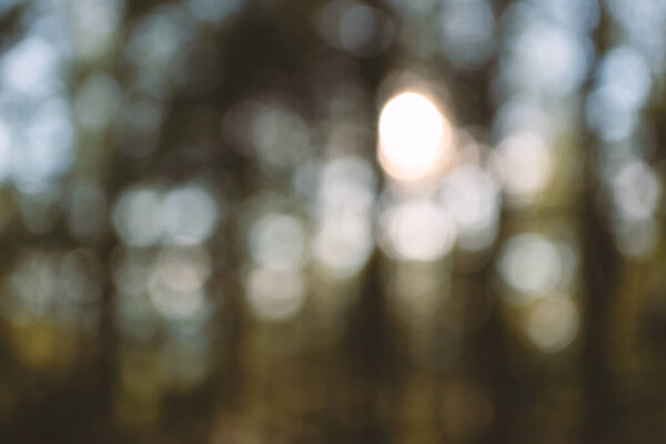 Defocused shiny forest abstract background. Glowing sunshine nature backdrop