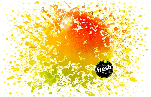 Mango Juice splash. Vers fruit en spatten. Een explosie van vers fruitsmaak. Tropische sappige splatter. Witte achtergrond, Eps10 illustratie — Stockvector