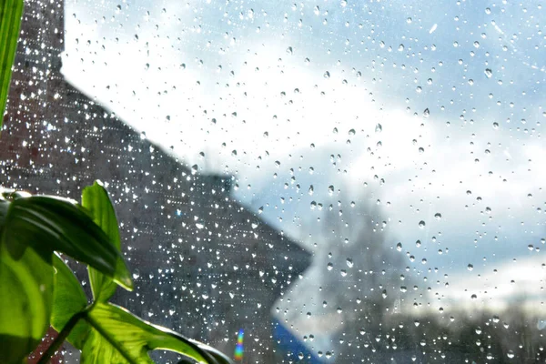 Blurred gray and blue background. Raindrops on the transparent window pane. Background of raindrops on a wet and transparent glass texture. It\'s raining outside. Water droplets glisten in the sun.