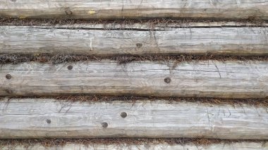 Yatay arkaplan ve ağaç dokusu. Evin duvarı yosun yalıtımlı ahşap kütüklerle çevrili..