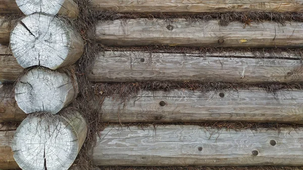 Parede Casa Feita Troncos Madeira Fundo Árvore Textura Construção Banhos — Fotografia de Stock