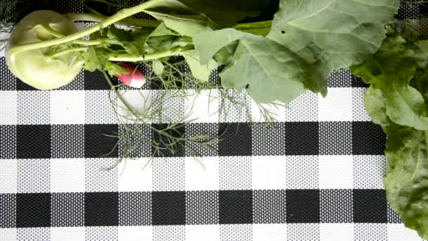 Chou de chou, radis, aneth et feuilles d'oseille sur le fond d'une serviette à carreaux. Arrière-plan avec un champ texte. Produits pour nutrition diététique. — Video