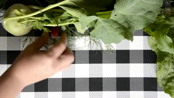 Fondo con verduras y una servilleta a cuadros. La mano colocó el rábano junto a la col y el eneldo kohlrabi. Productos dietéticos . — Vídeo de stock