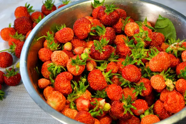 Ώριμες Φράουλες Μεταλλικό Μπολ — Φωτογραφία Αρχείου