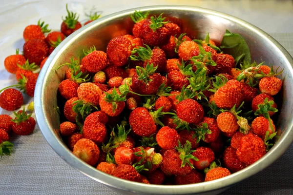 成熟的草莓放在金属碗里 — 图库照片