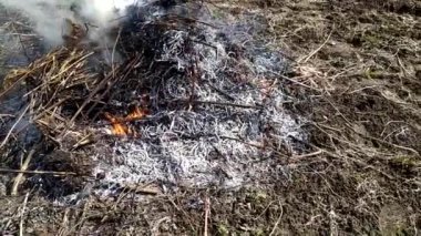 Bir sürü çöp yanıyor. Bahar çöpü toplama. Yazlık evde çöp yakmak. Baharda bahçe işleri..