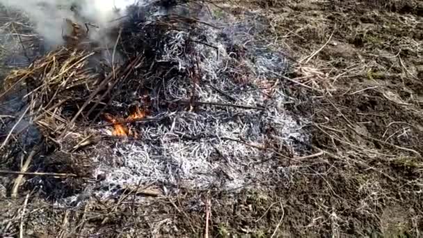 Bir sürü çöp yanıyor. Bahar çöpü toplama. Yazlık evde çöp yakmak. Baharda bahçe işleri.. — Stok video