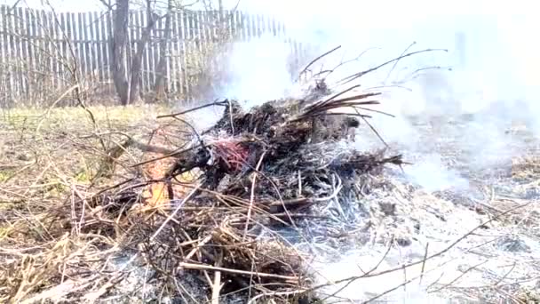 Trockenes Gras und Müll in einem Gartengrundstück verbrennen. Frühlingsarbeit im Garten. Baustellenvorbereitung im Frühjahr. — Stockvideo