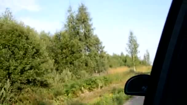 Samochód Jedzie Zniszczoną Wiejską Drogą Przejeżdżając Obok Drzew Pól Rosja — Wideo stockowe