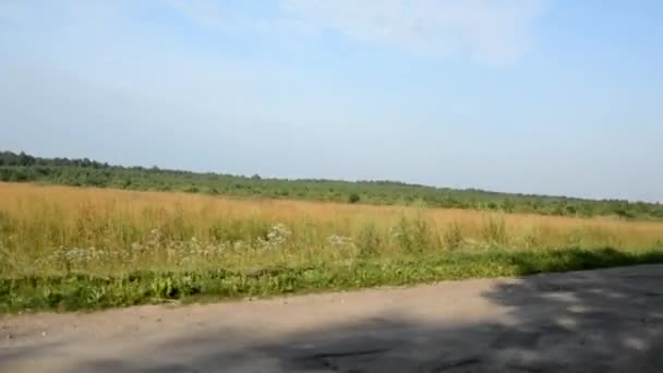 Автомобіль Їде Зруйнованій Сільській Дорозі Порозкидані Полях Лісах Росія — стокове відео