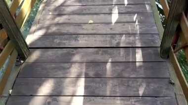 Göletin üzerindeki tahta köprü. Suyun yüzeyinde güneşin parlaklığı var. Nehrin geçişi. Sudaki tahtaların yolu.