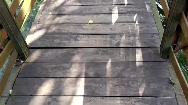 Puente de madera sobre el estanque. El resplandor del sol en la superficie del agua. El cruce del río. Camino de tablas a través del agua . — Vídeos de Stock