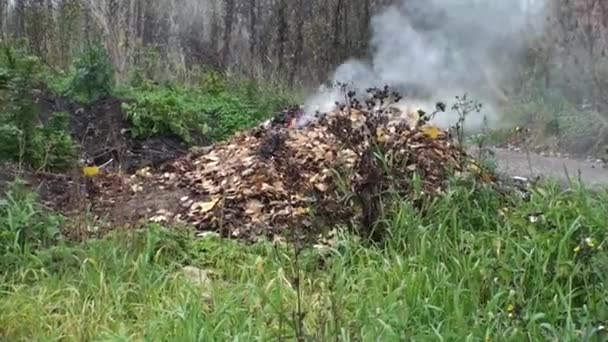 Arbeit Garten Stadtreinigungsarbeiten Müllverbrennung Verbrennendes Laub Frühling Herbst Funktioniert — Stockvideo