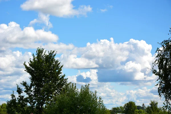 Nuvole Bianche Galleggiano Attraverso Cielo Blu Come Una Foresta Bellissimo — Foto Stock