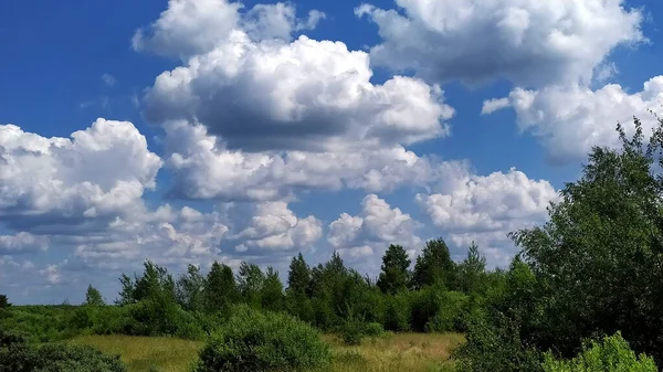 Blauer Himmel Mit Weißen Wolken Über Wald Und Feld Schöne — Stockfoto
