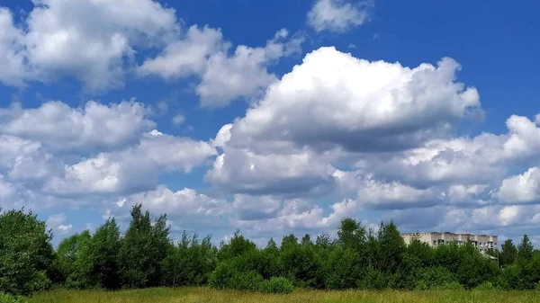 Piantagione Forestale Cielo Blu Con Nuvole Bianche Bellissimo Paesaggio — Foto Stock