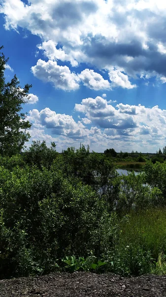 Paesaggio Cielo Blu Con Nuvole Bianche Uno Stagno Una Foresta — Foto Stock