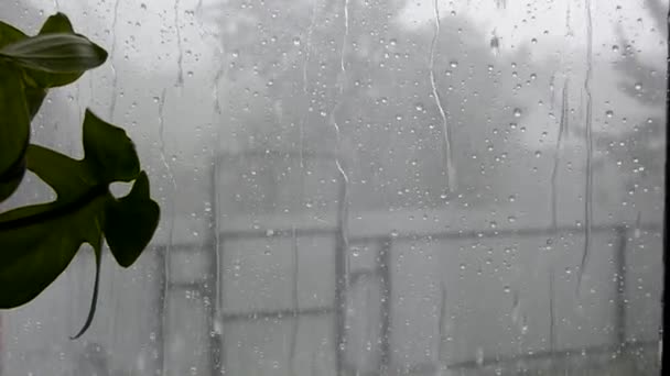 水の滴がガラスの下を走る。外は強い風と雨の天気。窓の外で雨。音とビデオ. — ストック動画