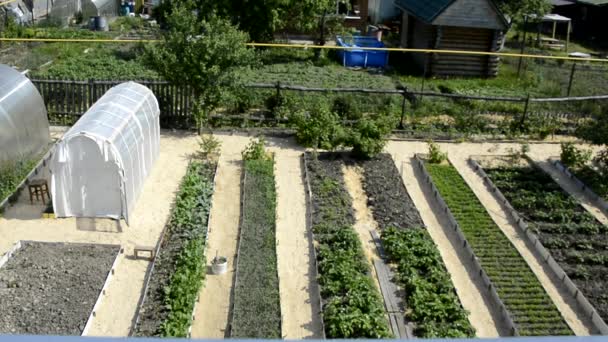 Szklarnie i łóżka warzywne są rozmieszczone w rzędach w ogrodzie, widok z góry. Warzywa i owoce sadzone są w łóżkach ogrodowych w gospodarstwie domowym. Planowanie ogrodu warzywnego. — Wideo stockowe