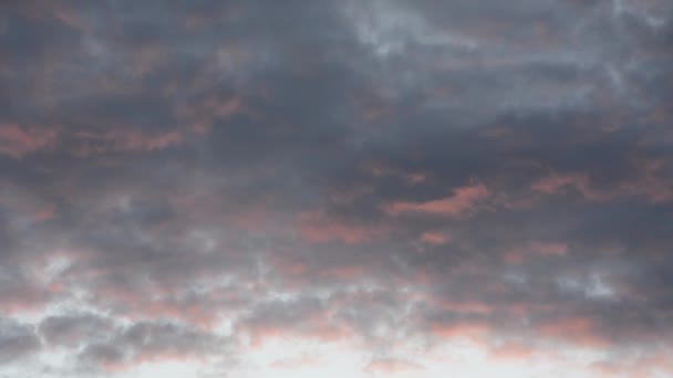 Прекрасное ночное небо. Розовые и серые облака плывут по вечернему небу. Природа осенью. Драматические облака на закате. Вечерние облака медленно улетают.. — стоковое видео